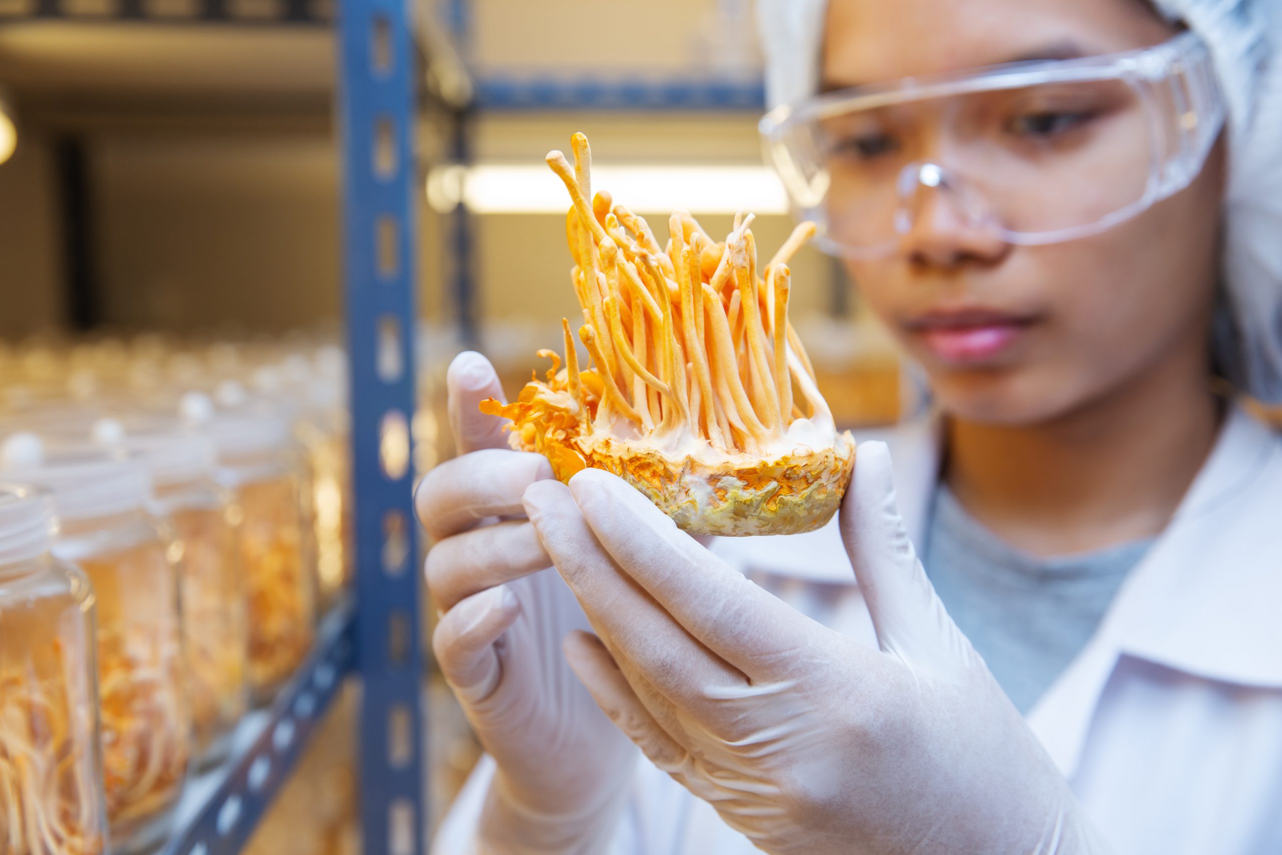 Why Innovation Is Important in Traditional Food